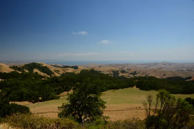 DSC_2493 (Large).JPG